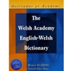 WELSH ACADEMY ENGLISH WELSH DICTIONARY