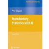 Affiliate Vendor E-Book Introductory Statistics with R
