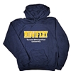 Navy Hoodie with Midwifery Logo