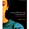 YOUNG OFFENDERS & YOUTH JUSTICE A CENTURY AFTER THE FACT