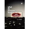 WHAT DO PICTURES WANT