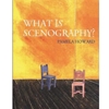 WHAT IS SCENOGRAPHY