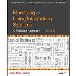 Managing and Using Information Systems LLV