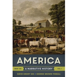 AMERICA: A NARATIVE HISTORY VOL.1 BRIEF ED.