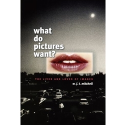 WHAT DO PICTURES WANT